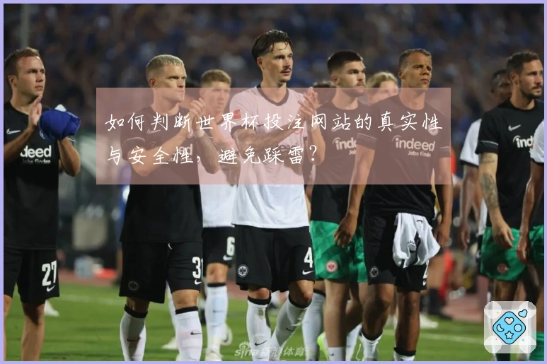 如何判断世界杯投注网站的真实性与安全性，避免踩雷？