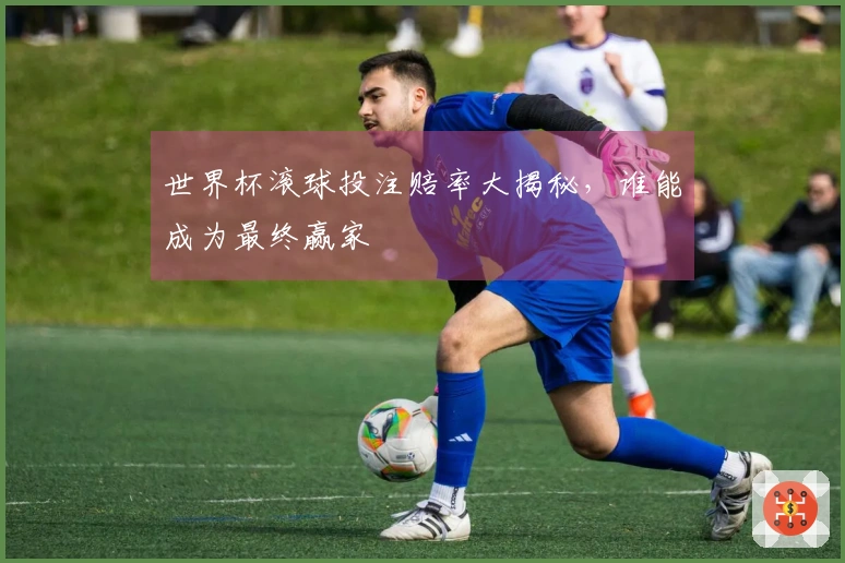 世界杯滚球投注赔率大揭秘，谁能成为最终赢家