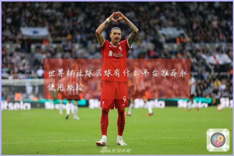 世界杯让球买球有什么平台推荐和使用经验