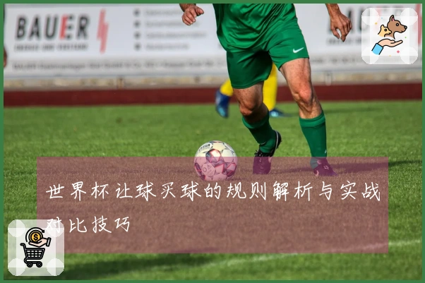 世界杯让球买球的规则解析与实战对比技巧