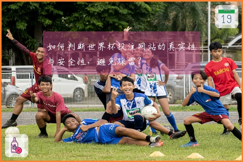 如何判断世界杯投注网站的真实性与安全性，避免踩雷？