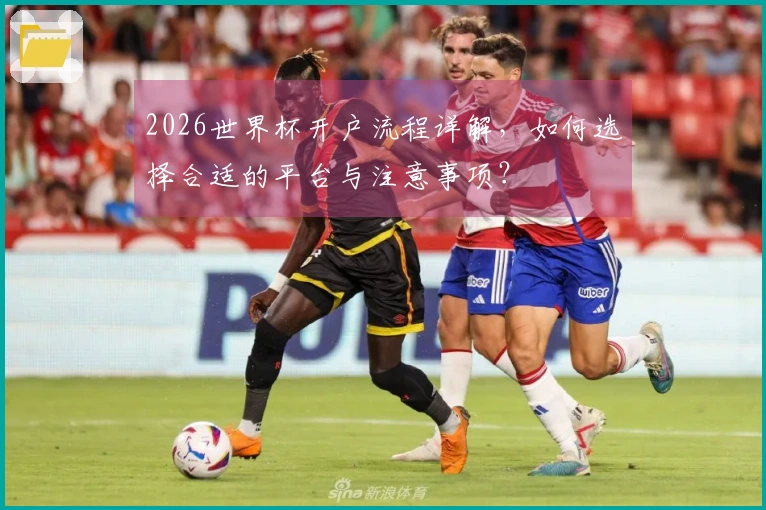 2026世界杯开户流程详解，如何选择合适的平台与注意事项？
